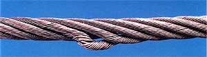 360104.jpg